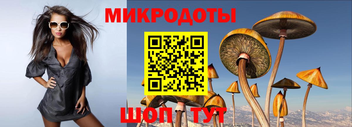Новодвинск  Псилоцибиновые грибы Cubensis  Псилоцибиновые грибы Psilocybe  купить закладку  Вход с VPN 
